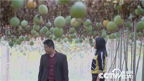 致富经:垃圾佬和女老板的财富狂想(20170714)