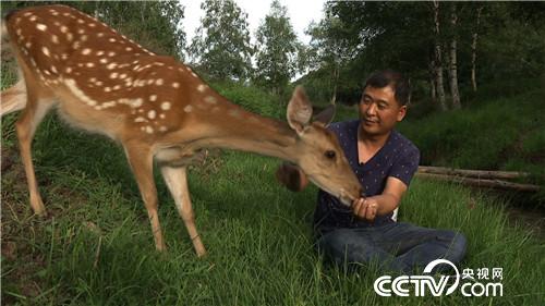 致富经:借八万赚百万 厚道汉子的生意经(20170822)