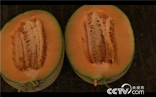 致富经:疯狂大叔“赌”出亿万财富(20170830)