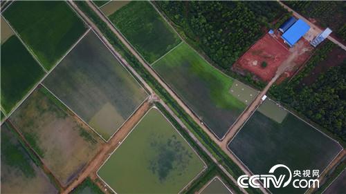 致富经:爱美懒媳妇 懒招赚快钱(20170913)