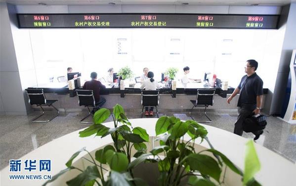 办事人员在武汉农村综合产权交易所窗口办理业