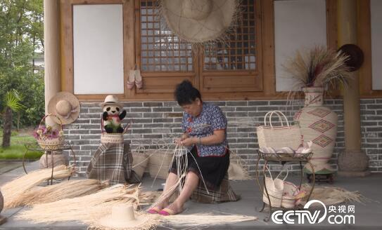 绿色时空:小棕叶编出大梦想 11月19日