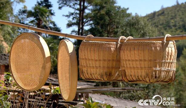 绿色时空:小棕叶编出大梦想 11月19日