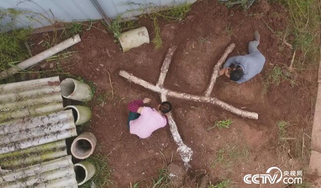 绿色时空:小竹鼠啃出“大钱途” 12月17日