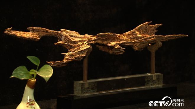 疯狂搞破坏 亿万财富来