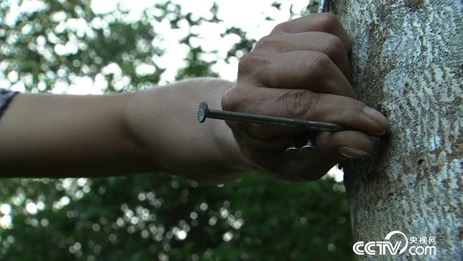 疯狂搞破坏 亿万财富来