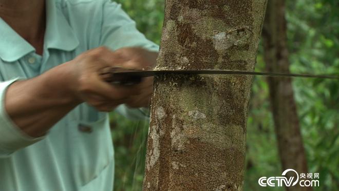 疯狂搞破坏 亿万财富来