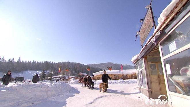 乡土:越冷越欢乐 12月25日