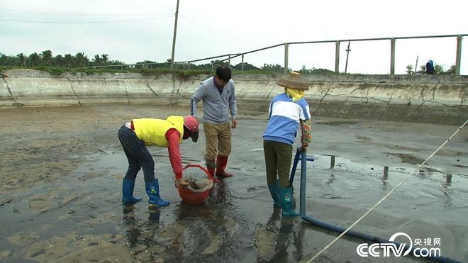 沙子里蠕动的千万财富