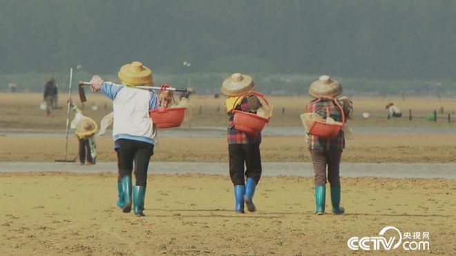 沙子里蠕动的千万财富