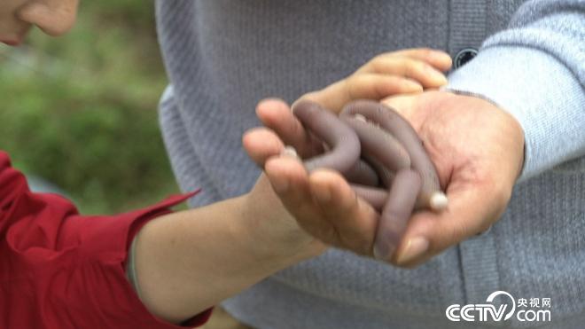 沙子里蠕动的千万财富