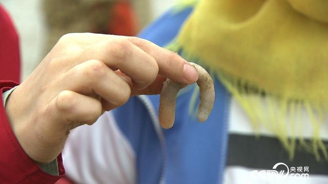 沙子里蠕动的千万财富