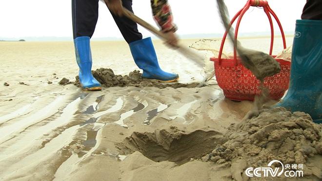 沙子里蠕动的千万财富