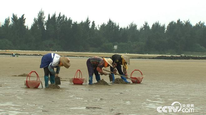 沙子里蠕动的千万财富
