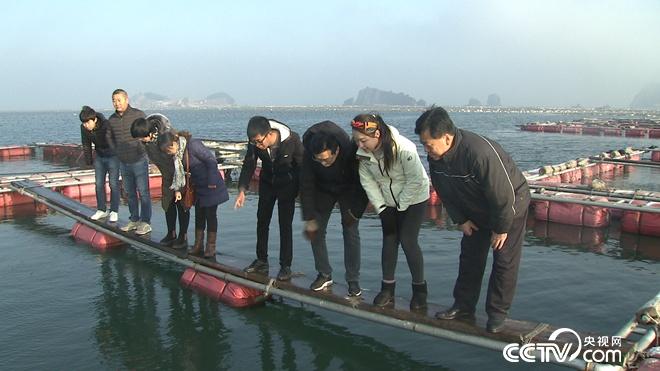 驯服铁齿钢牙剧毒鱼 年赚亿万