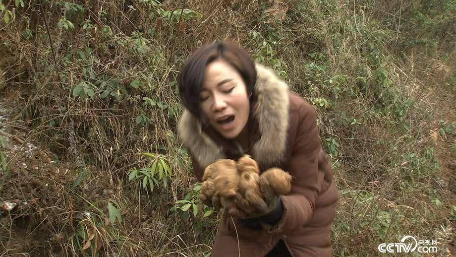 洗发工被打后进山寻财