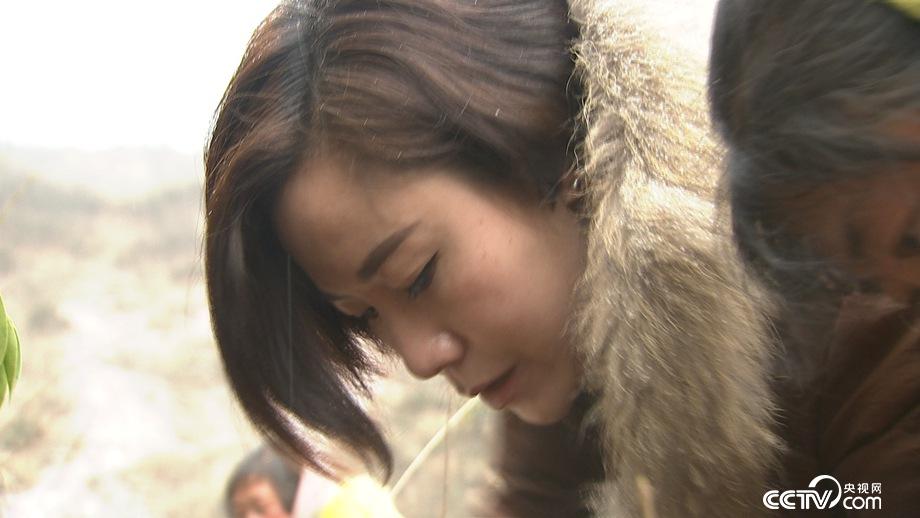 洗发工被打后进山寻财