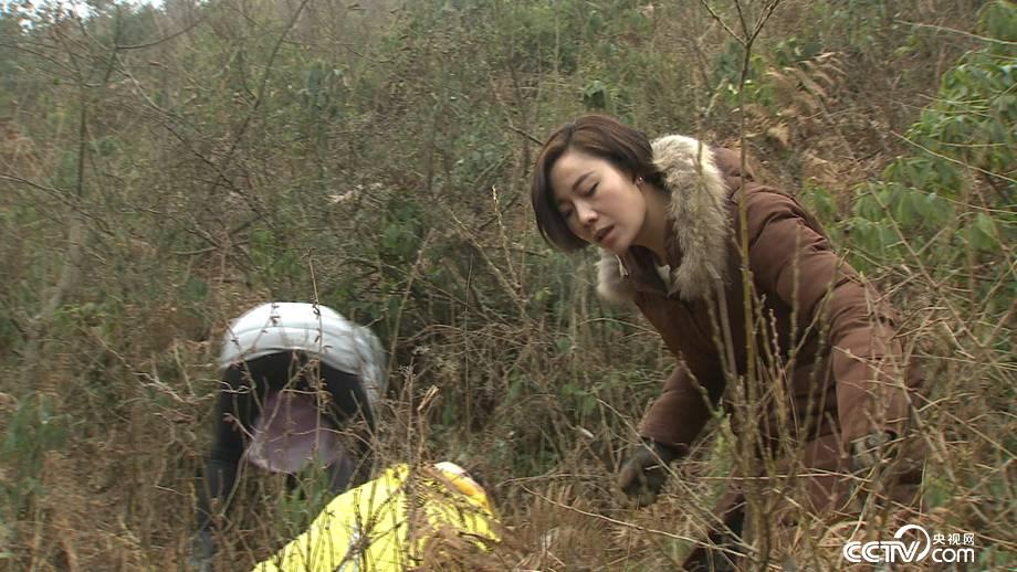 洗发工被打后进山寻财