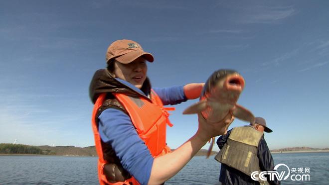 乡土:我的家在东北-黑土地上有滋味 2月13日