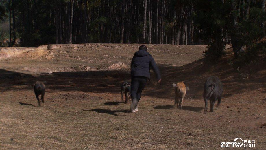 娇滴滴的姑娘 搓出来的财富