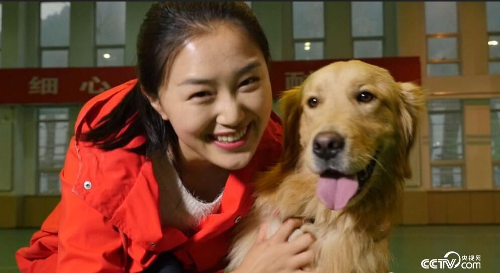 狗狗