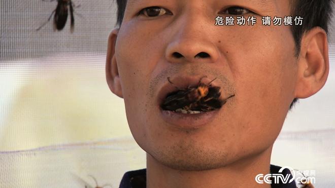 致富经:六畜兴旺贺新年-神奇动物招财忙