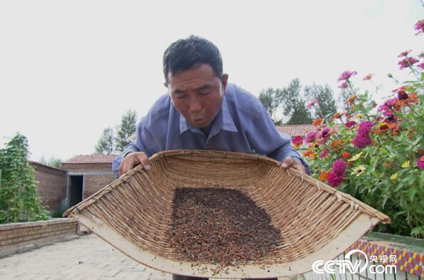 绿色时空:要想富 先栽树 3月11日