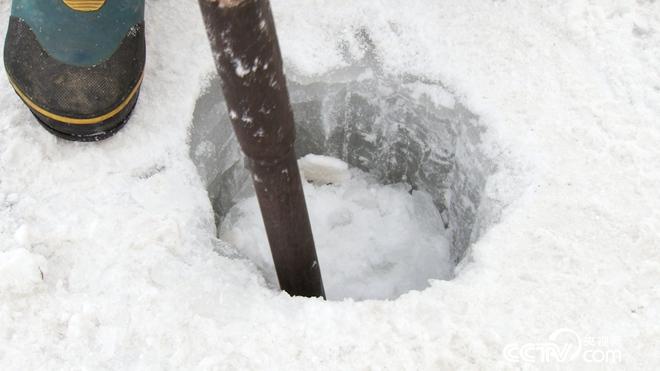 网下捕鱼 网上赚钱