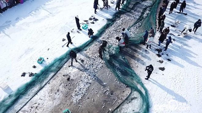 网下捕鱼 网上赚钱