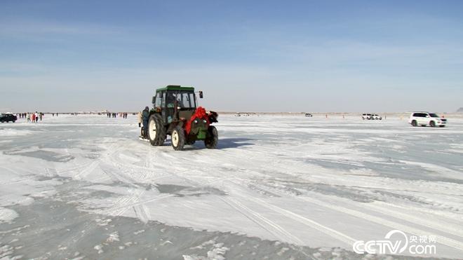 网下捕鱼 网上赚钱