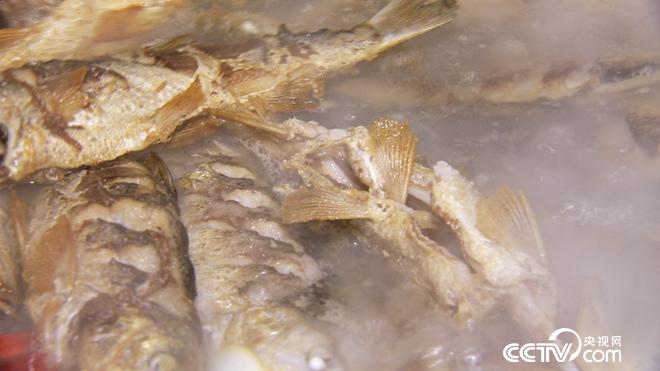 网下捕鱼 网上赚钱