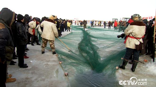 网下捕鱼 网上赚钱