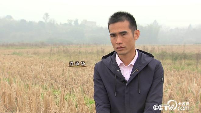 工薪小伙赶鸭下海 不到两年卖千万