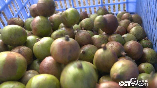 绿色时空:省工省力有神器 3月18日