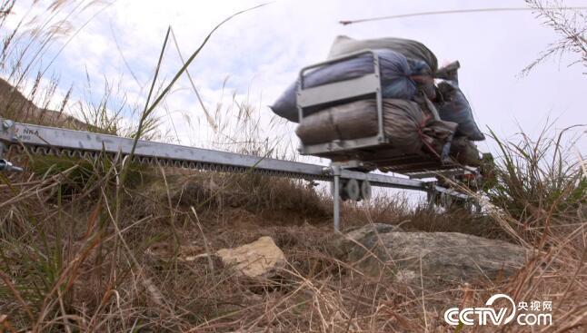 绿色时空:省工省力有神器 3月18日