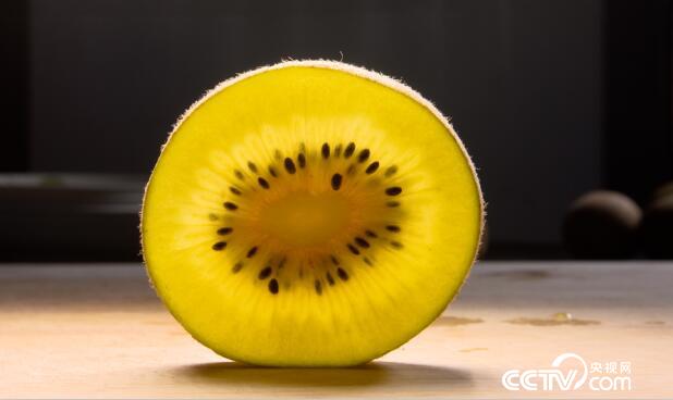 绿色时空:果园里有个甜“猕”约会 3月25日