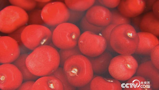 乡土:中国四时之韵 初夏 5月17日