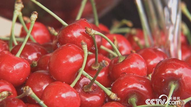 乡土:中国四时之韵 初夏 5月17日