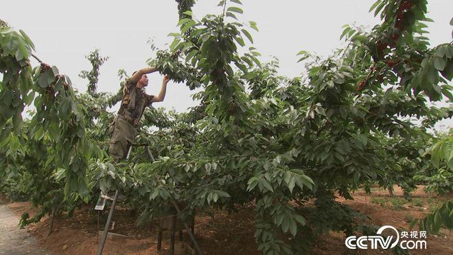 乡土:中国四时之韵 初夏 5月17日