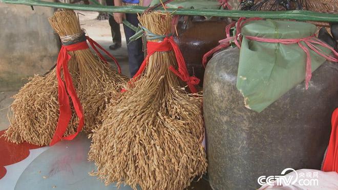 乡土:海南岛上的美好生活(下) 5月25日