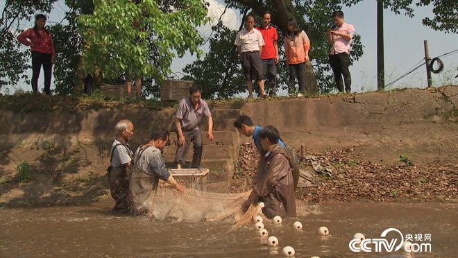 乡土:中国美好生活 归阳老街 7月11日