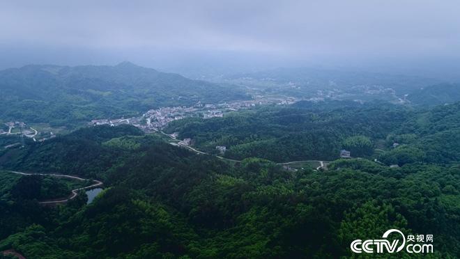 乡土:行走魅力茶乡 舒城兰花香 7月20日