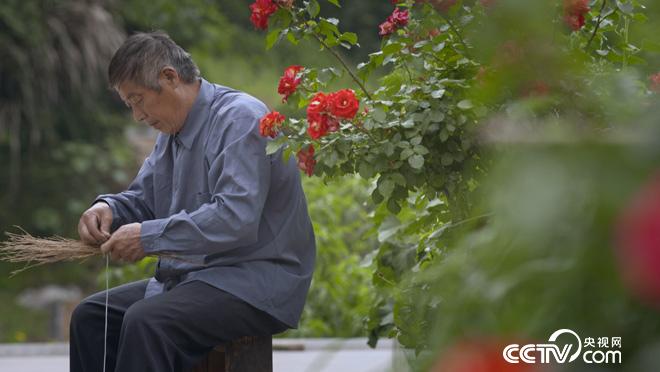乡土:行走魅力茶乡 舒城兰花香 7月20日