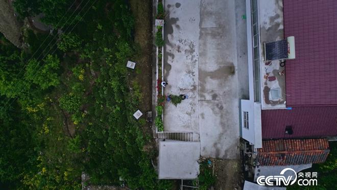 乡土:行走魅力茶乡 舒城兰花香 7月20日