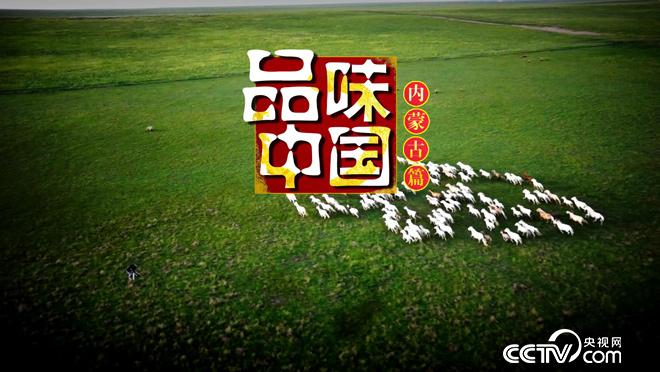 乡土:品味中国 内蒙古篇 8月2日