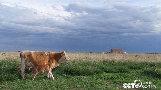 乡土:品味中国 内蒙古篇 8月2日