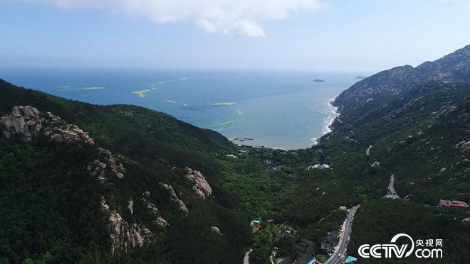乡土:行走魅力茶乡 好山好水崂山茶 8月3日