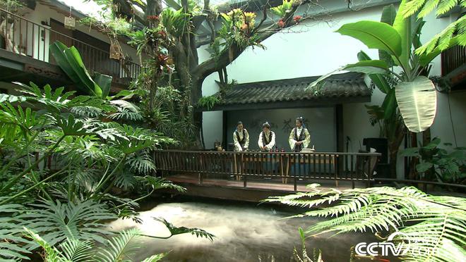 乡土:行走魅力茶乡 好山好水崂山茶 8月3日