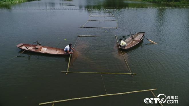 乡土:我们向往的乡村 魅力遂宁安居篇 8月7日