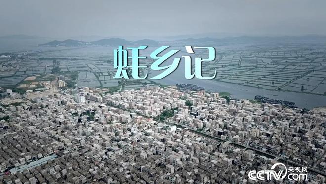 乡土:蚝乡记 8月16日